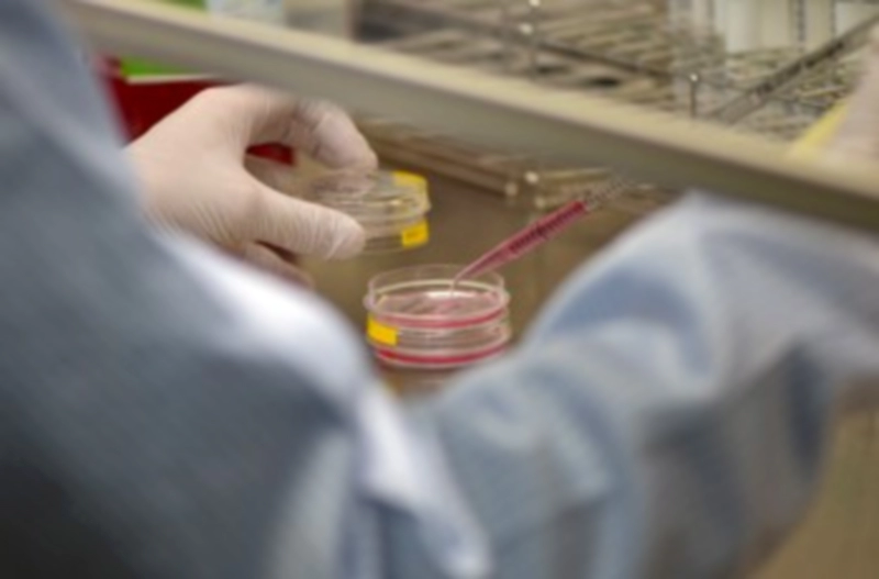 에스바이오메딕스 기업정보 