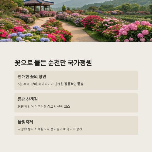 6월에 꼭 떠나야 할 감성 힐링 국내 여행지 TOP 5