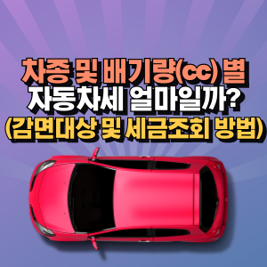 배기량-별-자동차세
