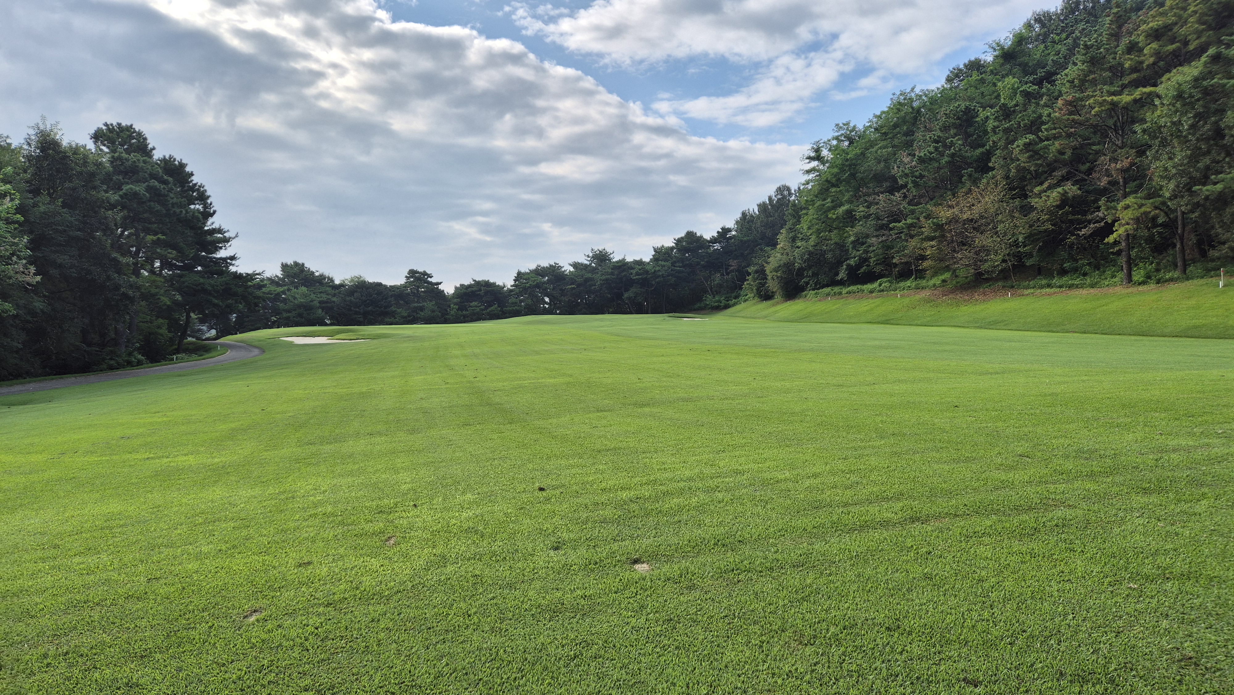 도고cc 코스 사진 및 공략 정보