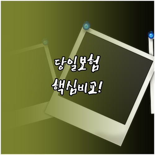 캐롯 원데이 자동차보험 당일 가입 보..