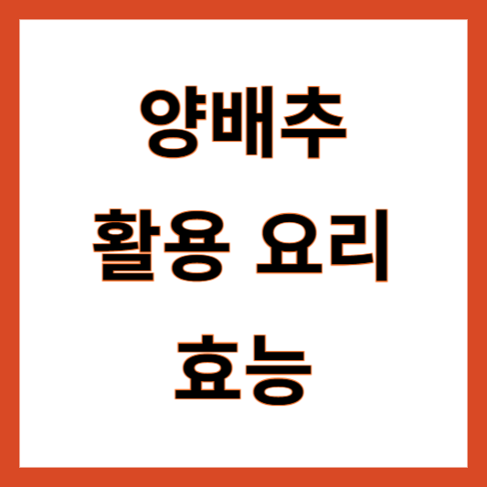 양배추 활용 요리