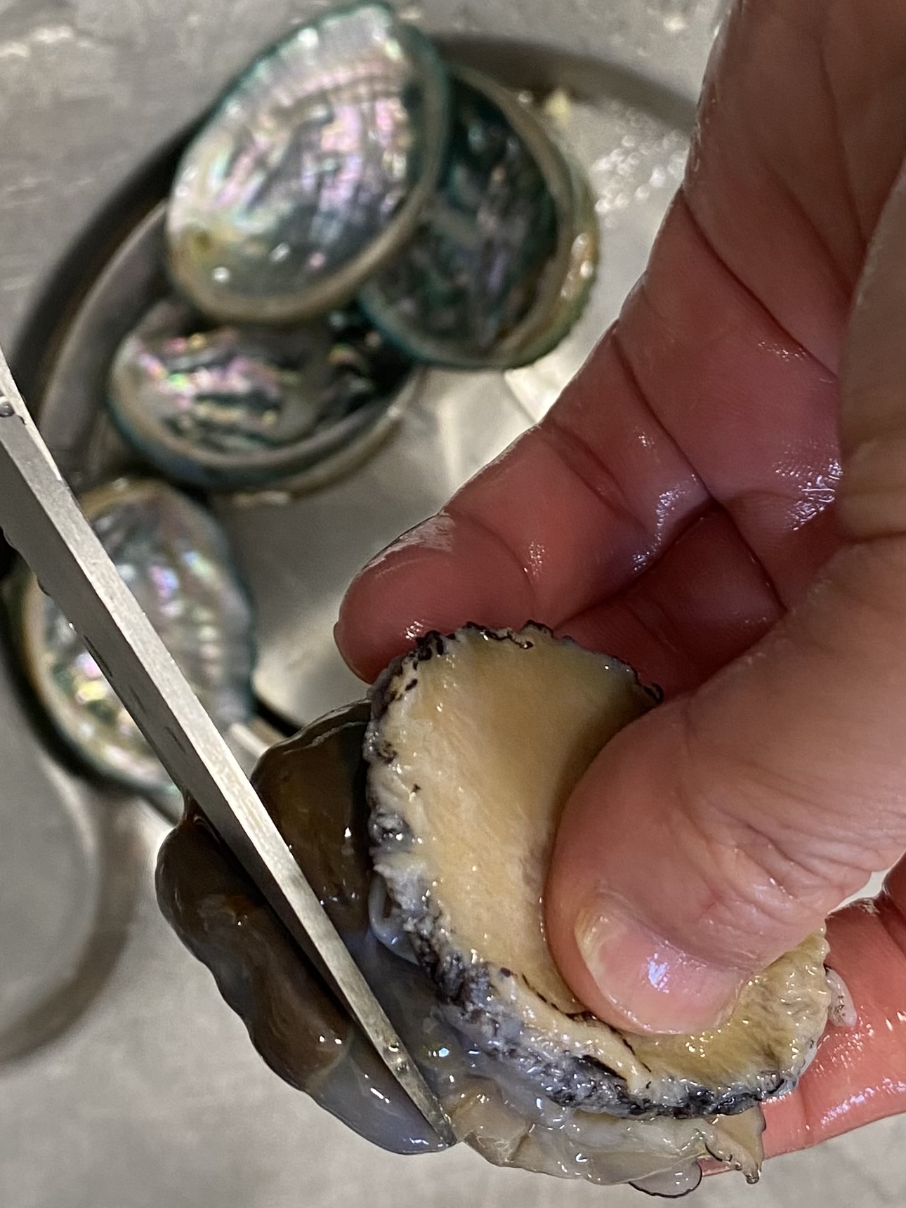 전복의 모래주머니를 잘라내는 사진