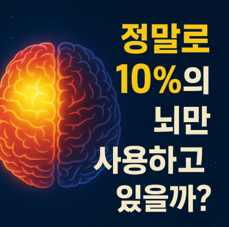 정말로 10%의 뇌만 사용하고 있을까?