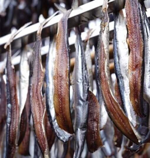 1월 제철 해산물 총정리