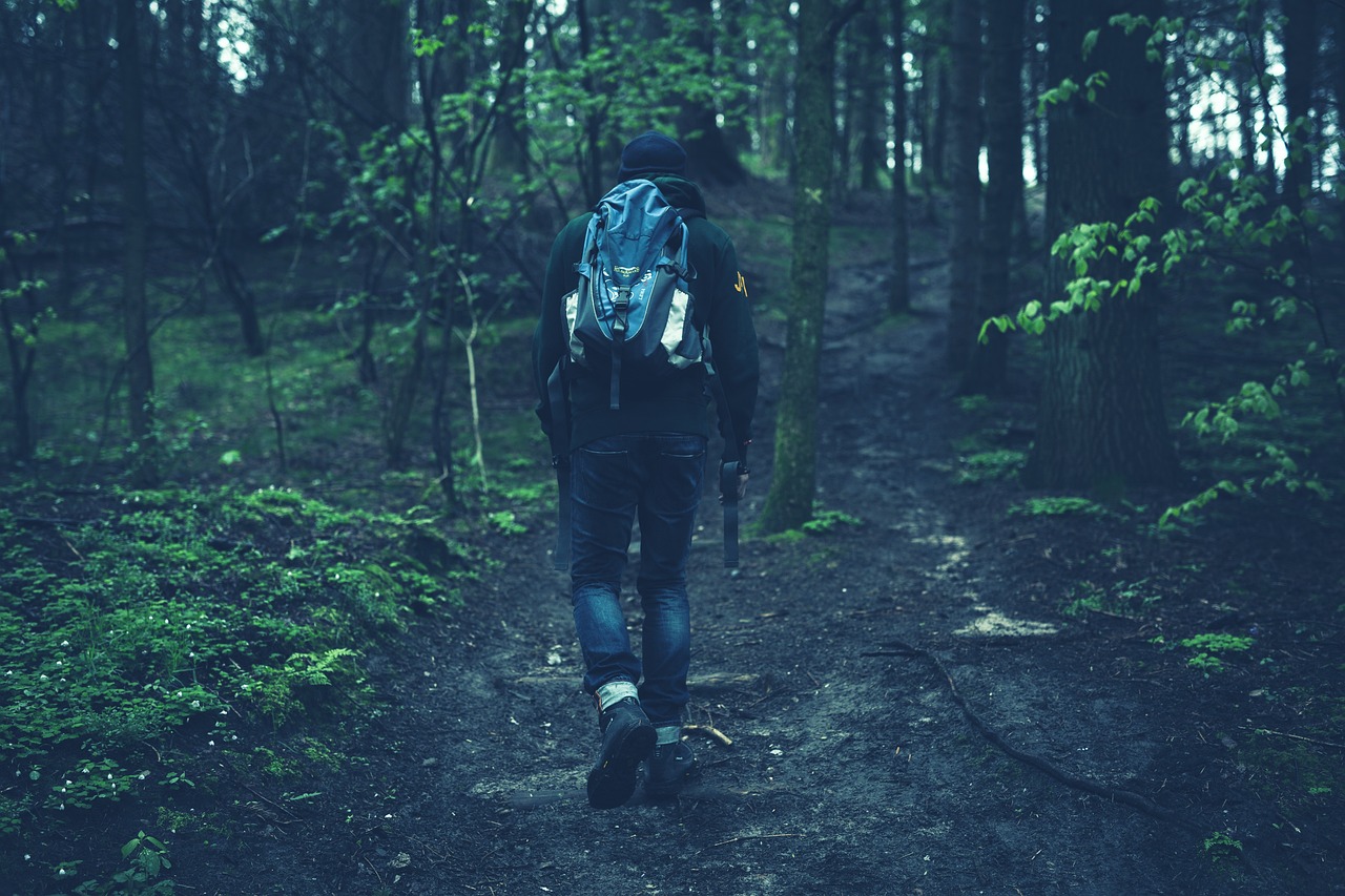 forest people 관련 사진