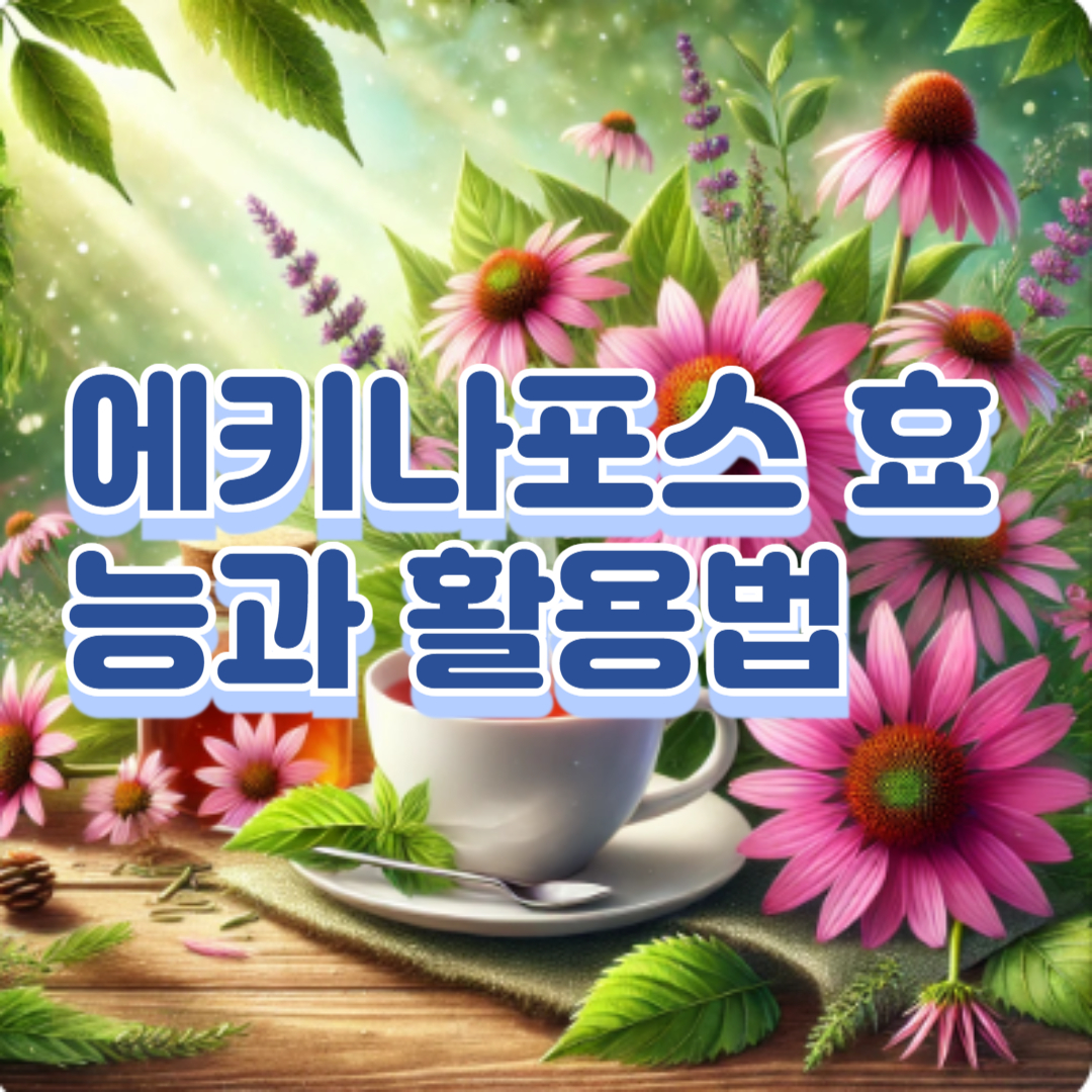 에키나포스 효능과 활용법