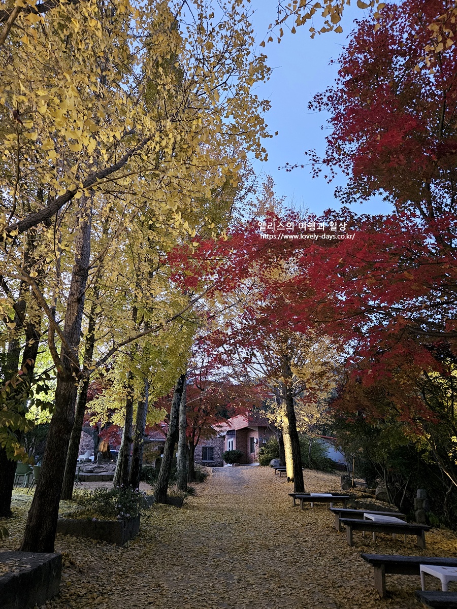 양산 통도사 스타벅스 주차 매장 특징 베이커리 솔직 후기