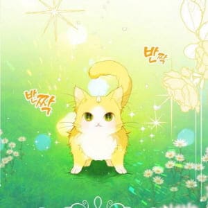 양이