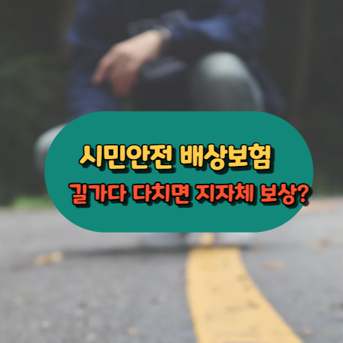 시민안전 배상보험