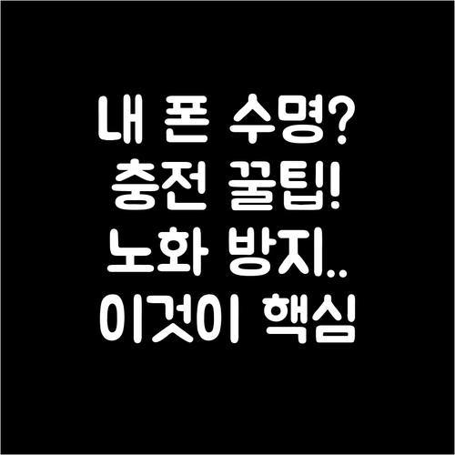 배터리 성능 최대치 노화 속도 늦추는..
