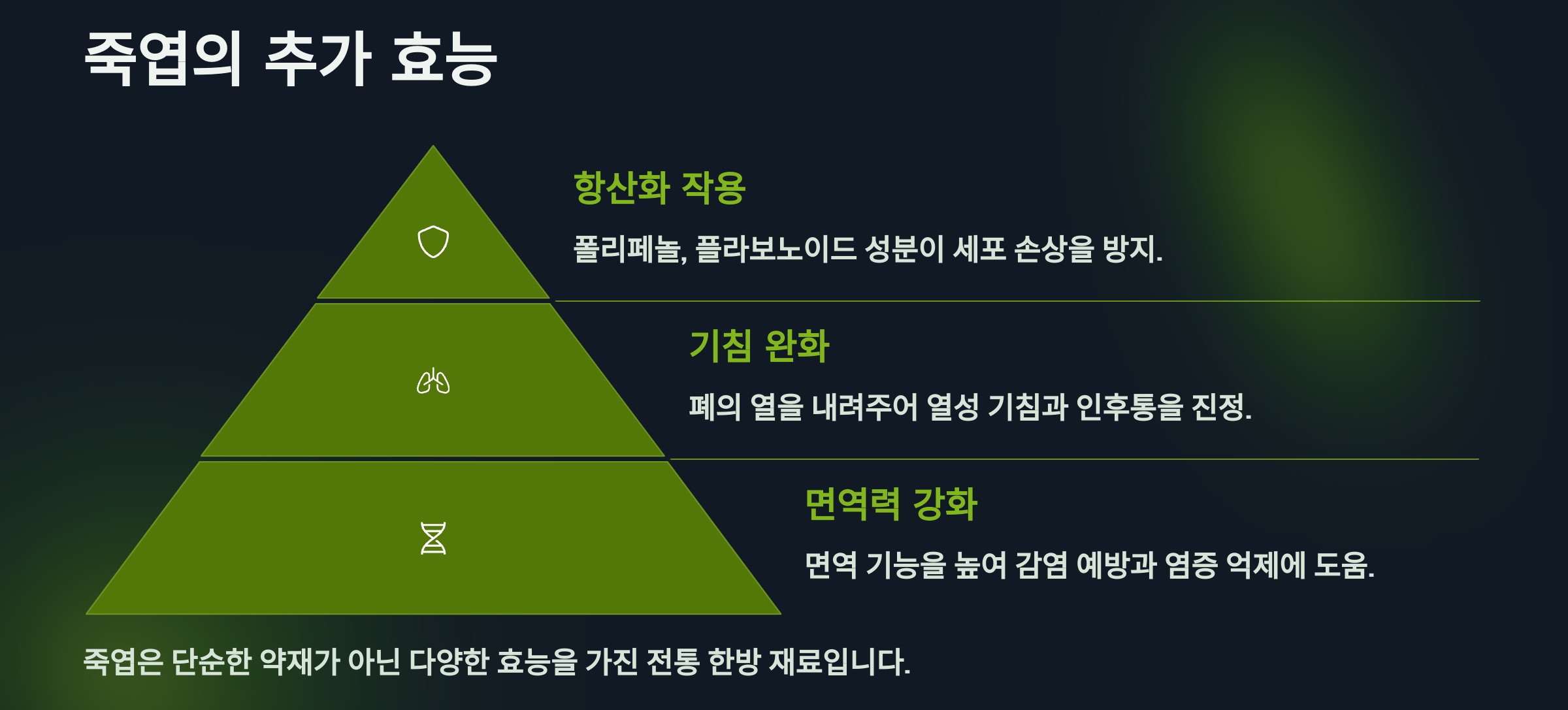 죽엽효능