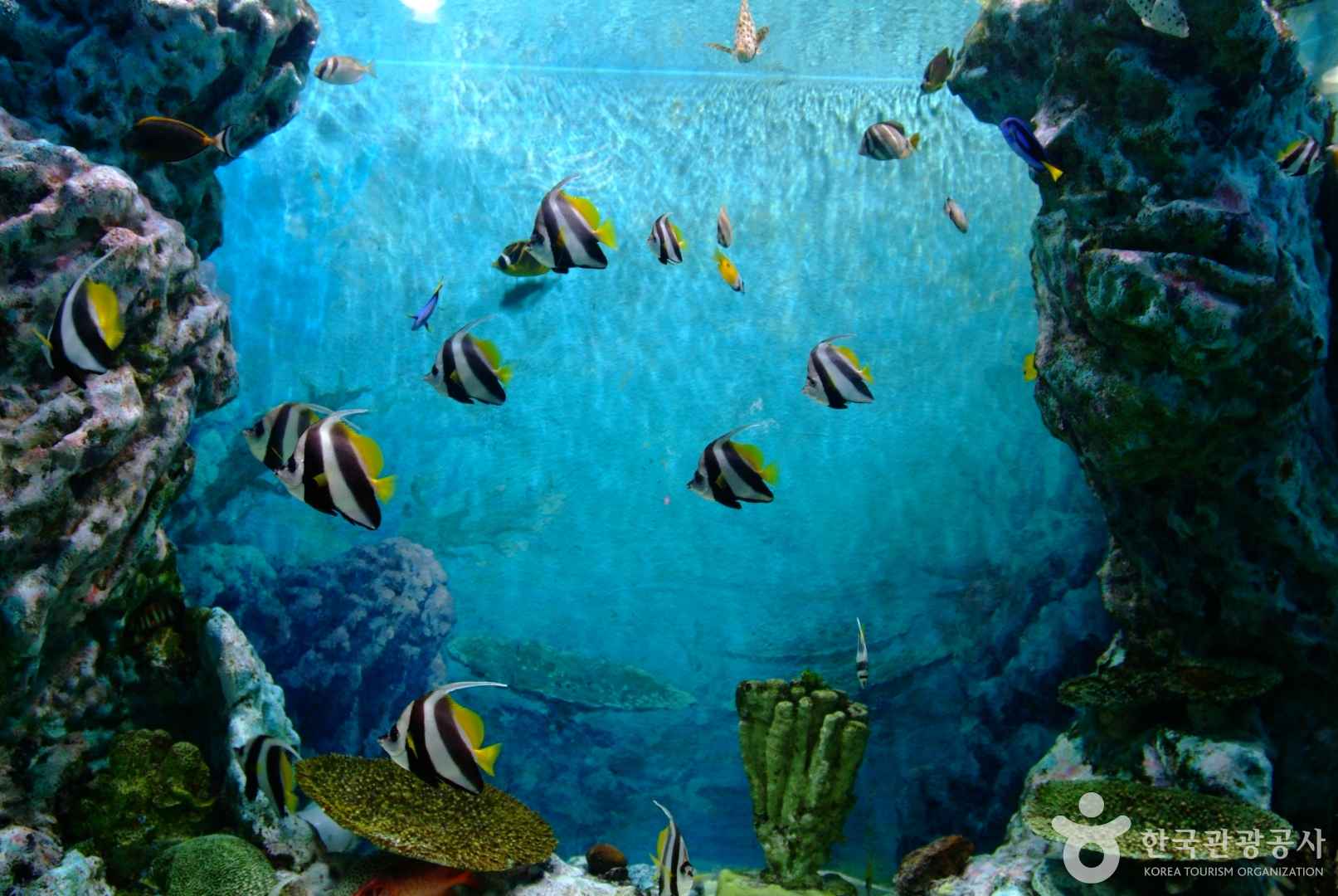 고성 화진포 해양박물관