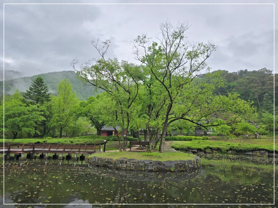 홍천 가볼만한곳 베스트10 공작산 생태숲