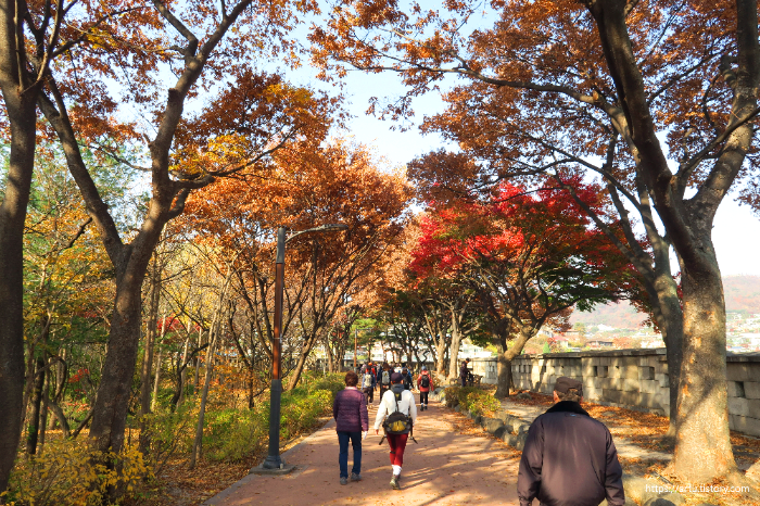 한양도성 순성길 단풍 2