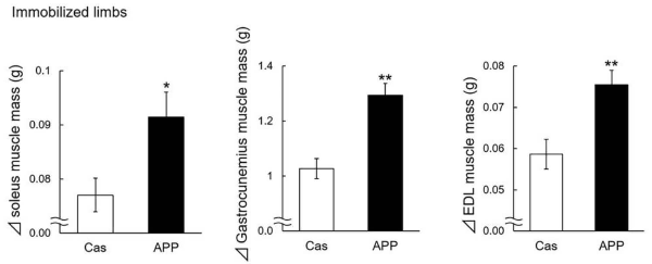 명태의 단백질 관련 논문 결과