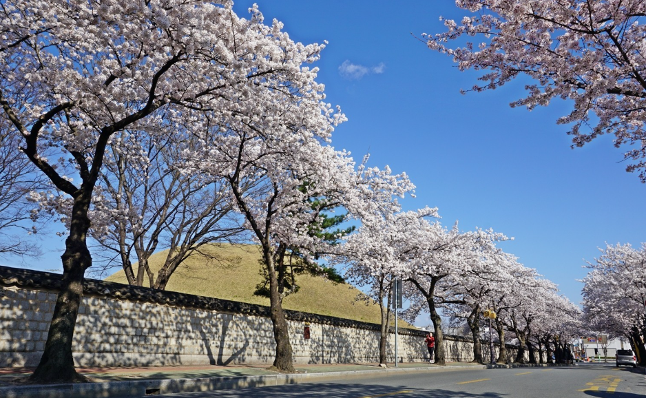 대릉원 돌담길