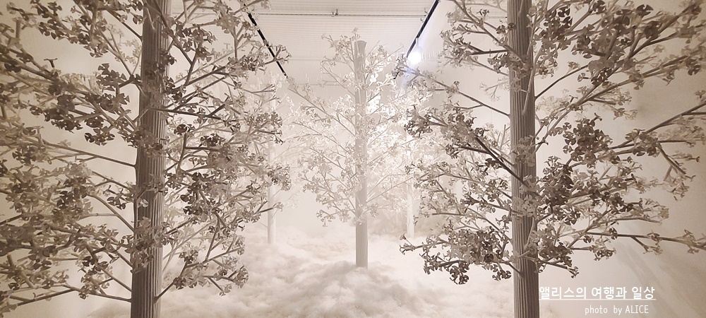 부산 실내 전시관 가볼만한곳 BEST 10