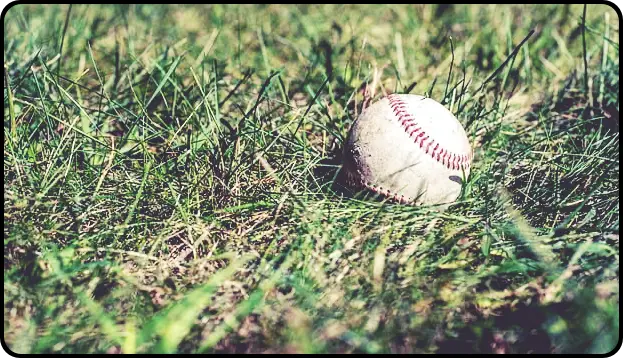 2024 WBSC 프리미어12 결과 한국 야구 탈락 확정