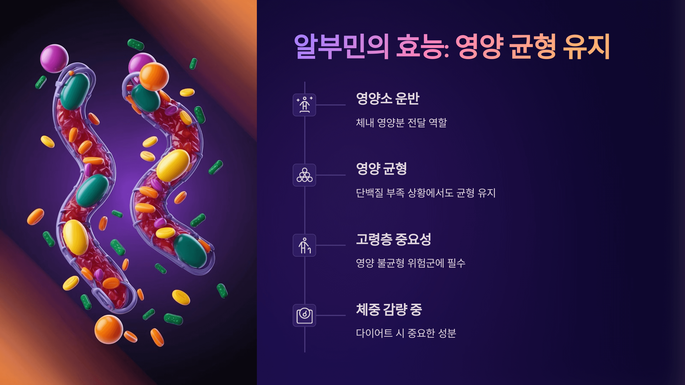 알부민과 관련된 사진입니다.