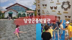 담양 가볼만한곳 - 담양곤충박물관