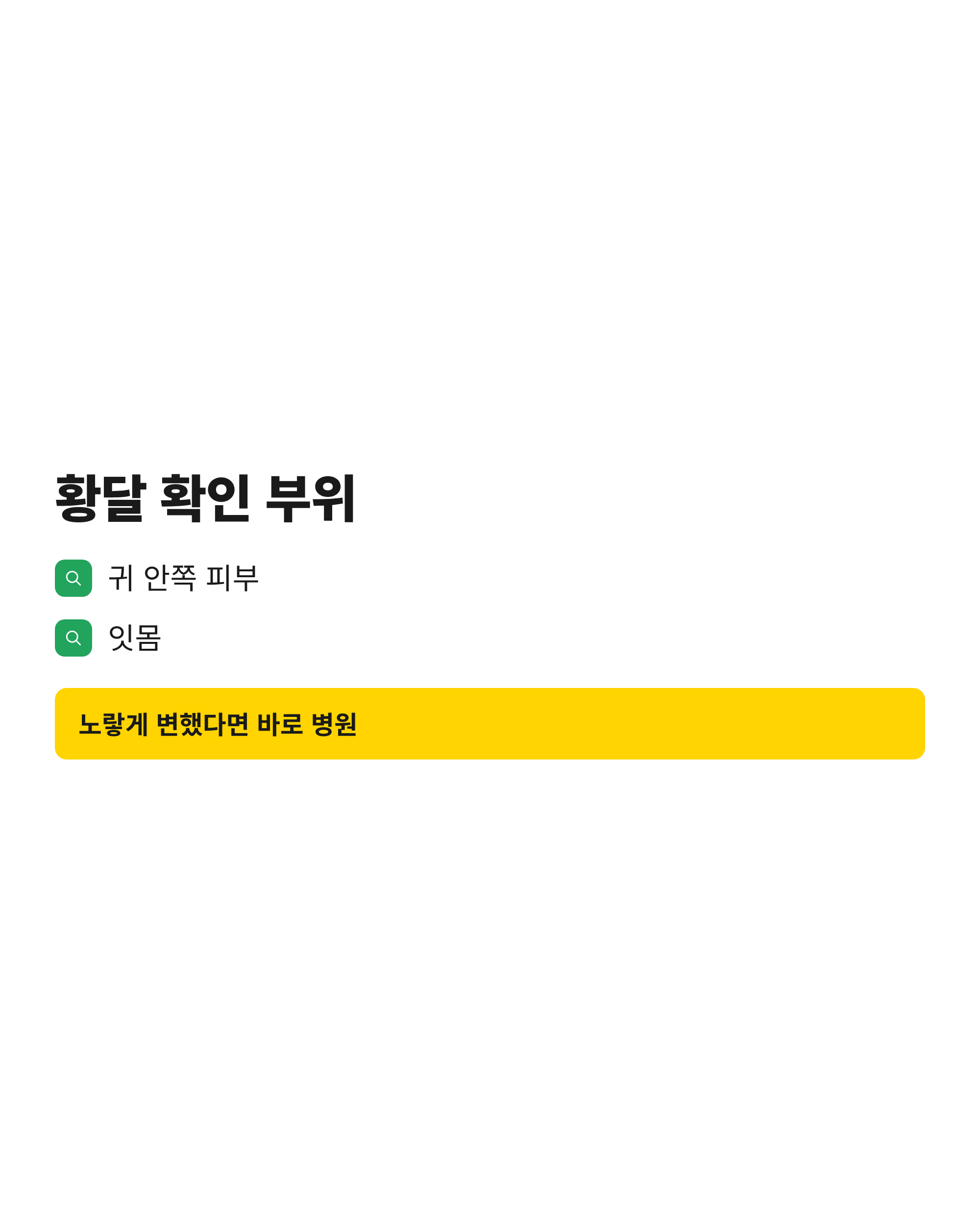 고양이 황달을 확인할 수 있는 귀 안쪽 피부와 잇몸이 노랗게 변한 모습