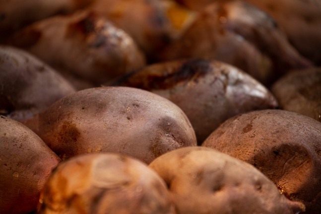 가을 캠핑 요리