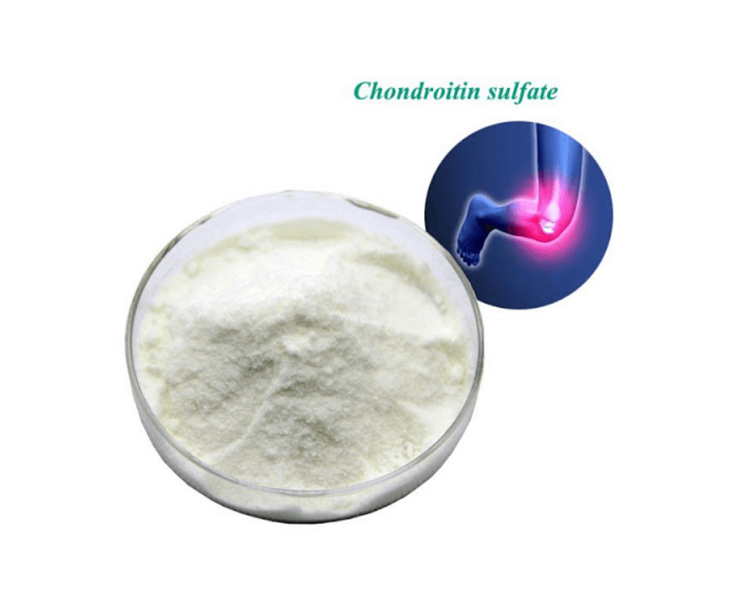 접시에-담긴-콘드로이친-분말-가루와-무릎에-염증이-발생한-모습