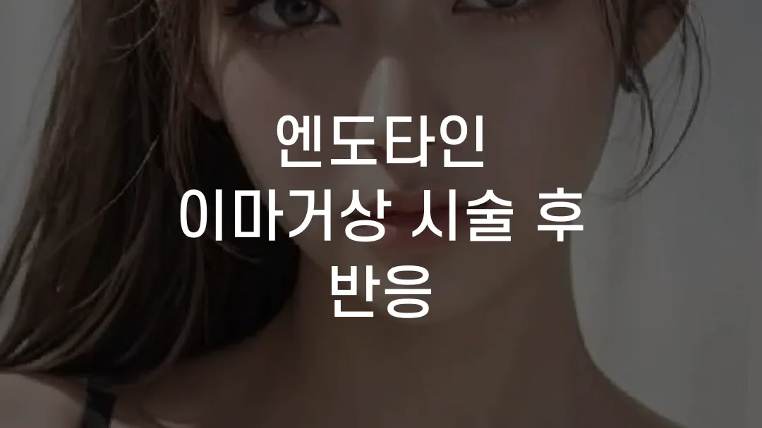 엔도타인 이마거상 시술 후 반응