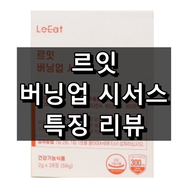 르잇 버닝업 시서스 대표 이미지