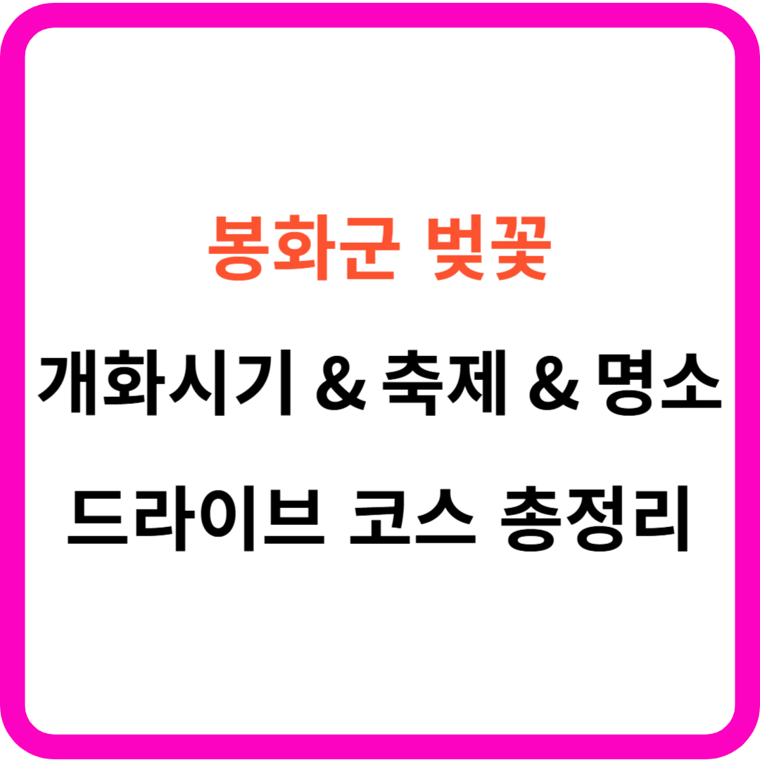 봉화군 벚꽃 개화시기 명소 드라이브 코스 가이드