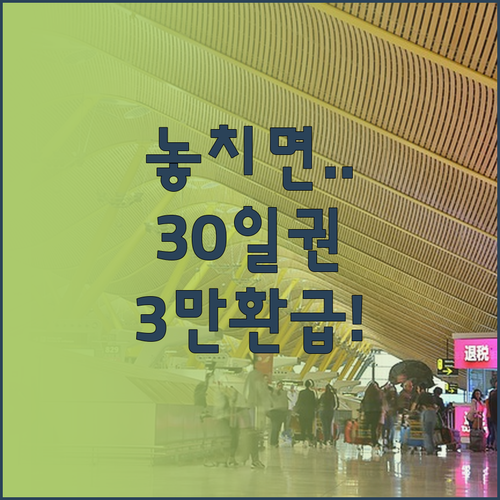 기후동행카드 30일권 충전하면 월 3..