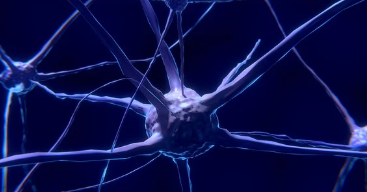 뇌전증 증상&amp;#44; 원인&amp;#44; 치료법 총 정리 (2025 ver.)