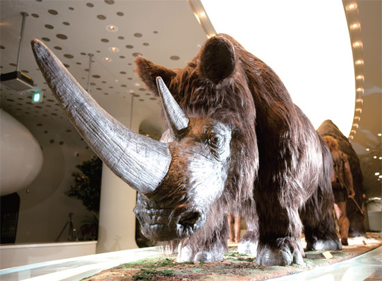 연천 가볼만한곳