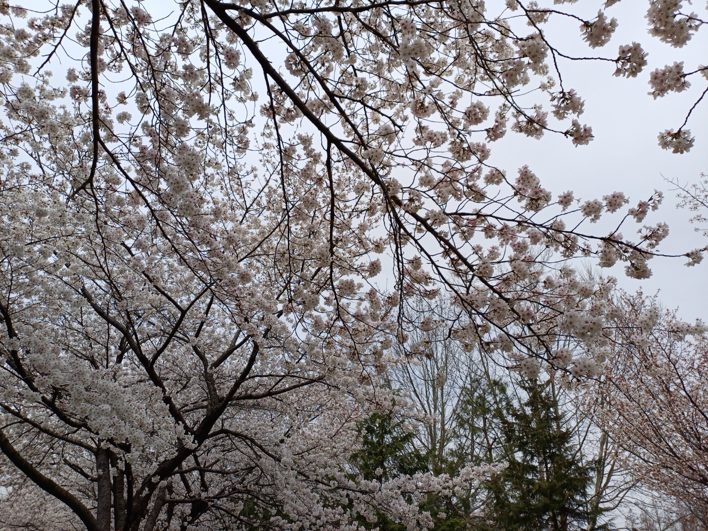쌍암공원