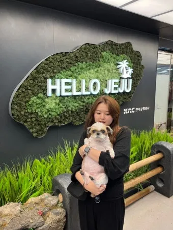 제주 반려견과 함께 가기 좋은 펫프렌들리 숙소 리스트_20