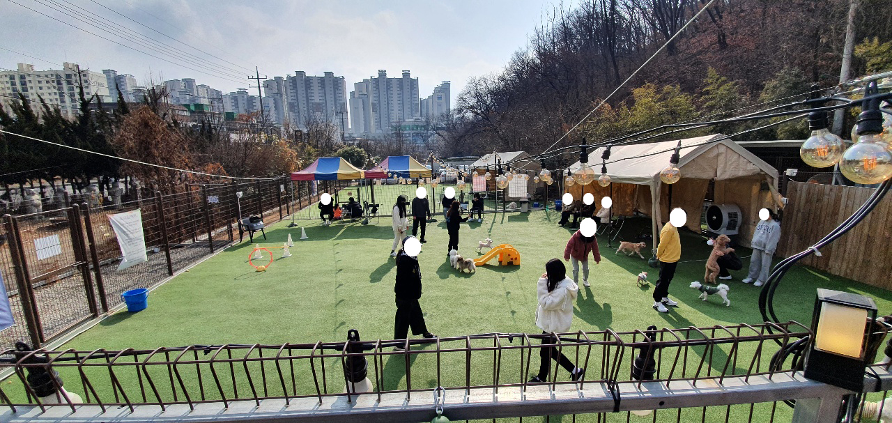 인천 어스독 애견카페