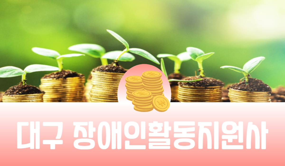 대구 장애인활동지원사