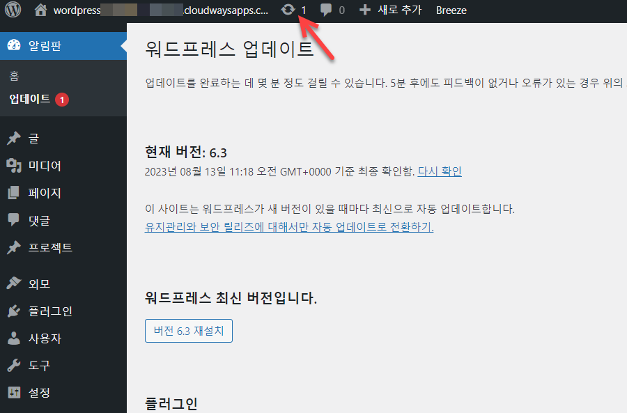 워드프레스 업데이트 알림