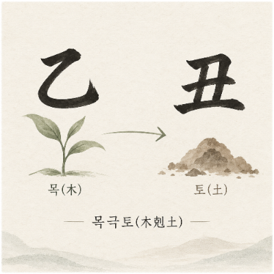 을목과 축토의 목극토 관계