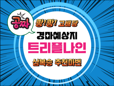 고배당 삼복승 추천 트리플나인 무료 경마예상지