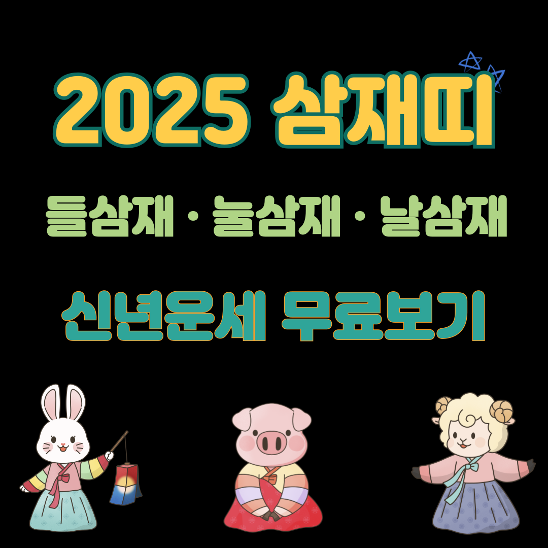 2025 삼재띠