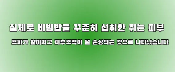  실제로 비빔밥을 꾸준히 섭취한 쥐는 피부 표피가 얇아지고 피부조직이 덜 손상되는 것으로 나타났습니다