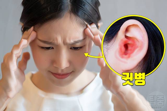 어지럼증 원인 귓병 어지러움 원인 이석증 메니에르병 전정신경염 내이염 중이염