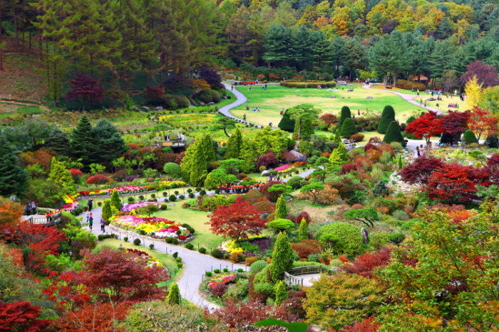 아침고요수목원 사진