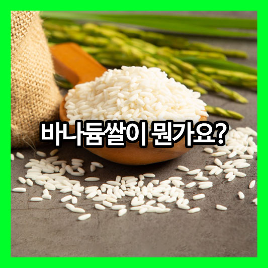 바나듐쌀이 뭔가요? 혈당 조절 당뇨관리 놀라운 미네랄 바나듐