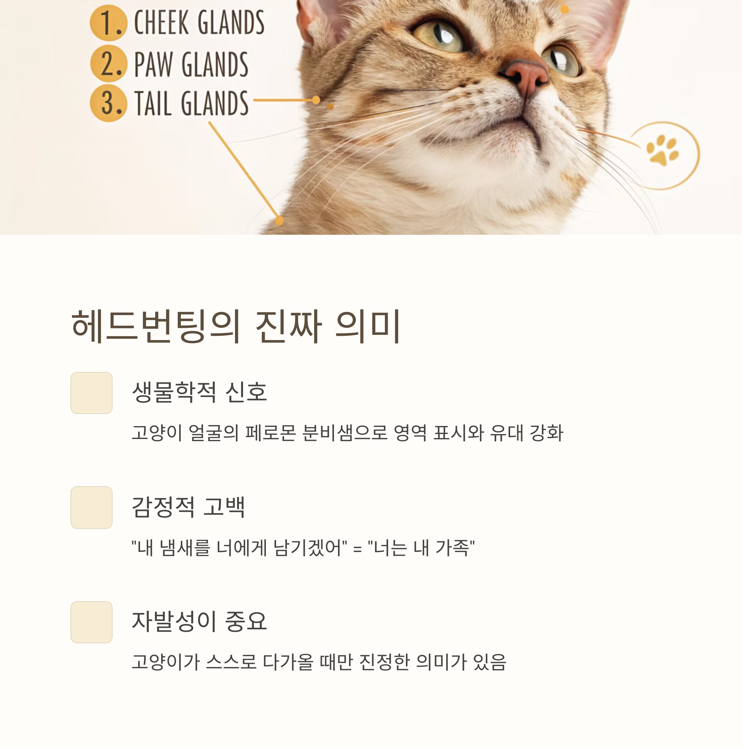 헤드번팅의 진짜 의미