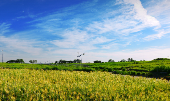 풍경 사진, 출처: 네이버 이미지