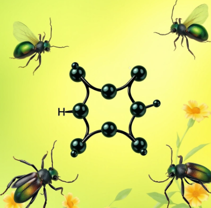 남가뢰칸타리딘그림