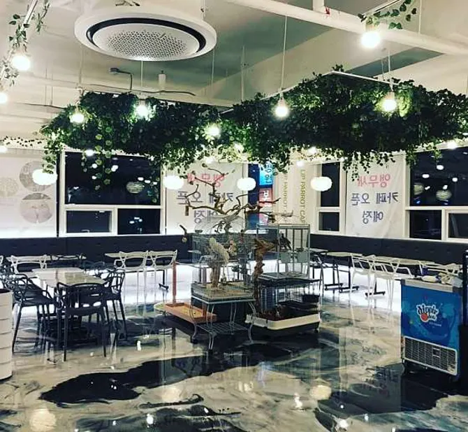 리프패럿 오산점